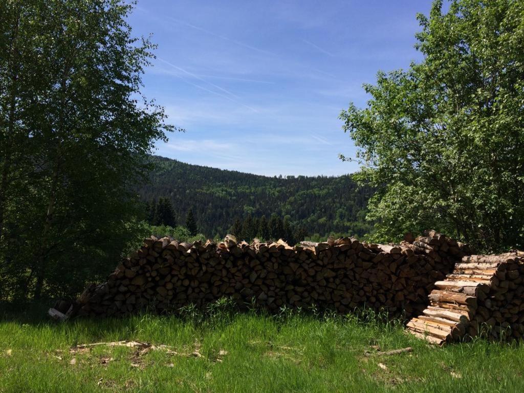 Ferienwohnung Gut Eschlsaign Arrach Zewnętrze zdjęcie